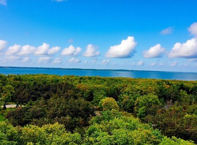 Beach Lot For Sale in Harbor Springs, Michigan