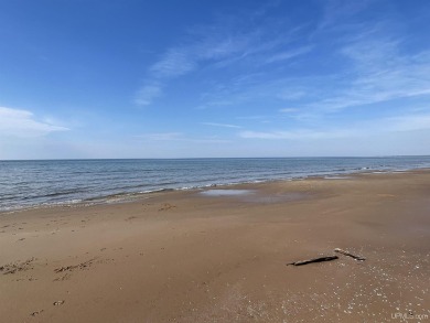 Beach Acreage For Sale in Gulliver, Michigan