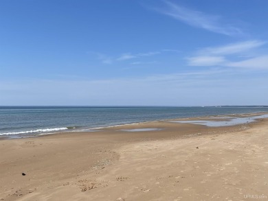 Beach Acreage For Sale in Gulliver, Michigan