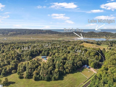 Beach Acreage For Sale in Frankfort, Michigan