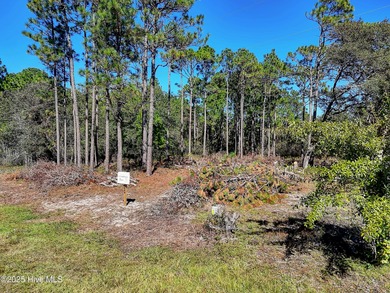 Beach Lot For Sale in Southport, North Carolina