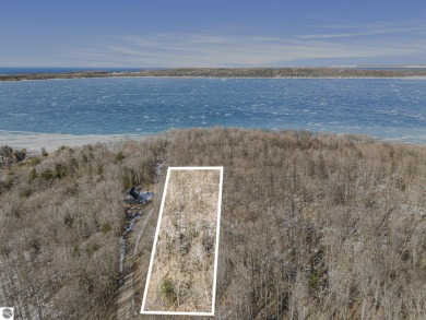 Beach Lot For Sale in Frankfort, Michigan