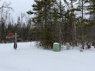 Beach Lot For Sale in Ocqueoc, Michigan