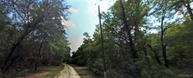 Beach Lot For Sale in Crystal River, Florida