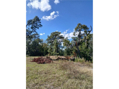 Beach Acreage For Sale in Crystal River, Florida