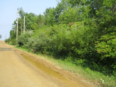 Beach Lot For Sale in South Haven, Michigan