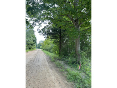 Beach Lot For Sale in South Haven, Michigan