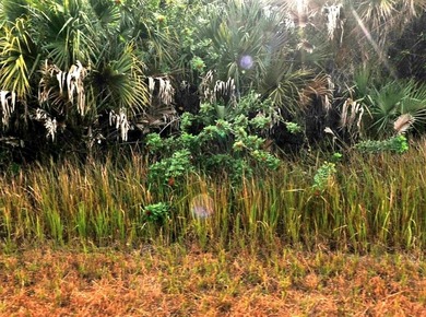 Beach Lot For Sale in North Port, Florida