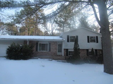 Beach Home For Sale in Oscoda, Michigan