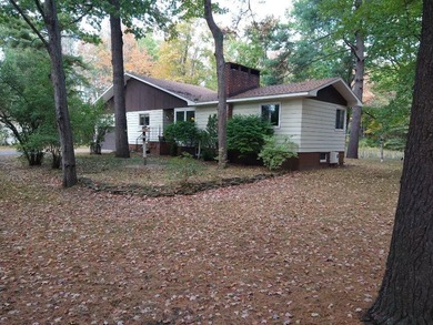 Beach Home For Sale in Ossineke, Michigan