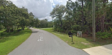 Beach Lot For Sale in Weeki Wachee, Florida