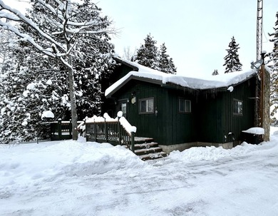 Beach Home For Sale in Alpena, Michigan