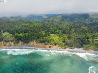 Beach Acreage Off Market in Gold Beach, Oregon