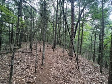 Beach Lot For Sale in Pentwater, Michigan