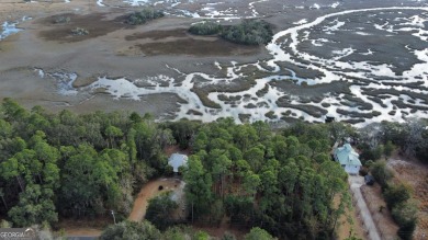 Beach Lot For Sale in Townsend, Georgia