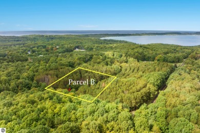 Beach Acreage For Sale in Frankfort, Michigan