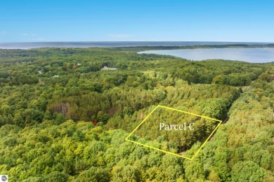 Beach Acreage For Sale in Frankfort, Michigan