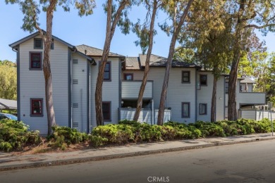 Beach Condo For Sale in Santa Barbara, California