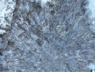 Beach Acreage Active Under Contract in Pine River, Minnesota