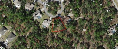 Beach Lot Sale Pending in Homosassa, Florida