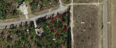 Beach Lot For Sale in Homosassa, Florida