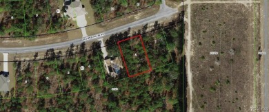 Beach Lot For Sale in Homosassa, Florida