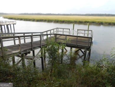 Beach Lot For Sale in Townsend, Georgia