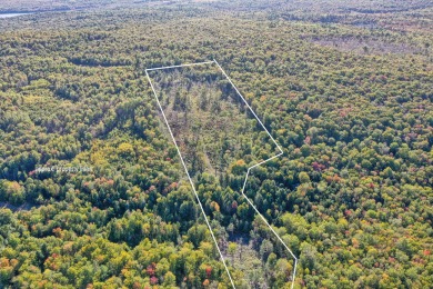 Beach Acreage For Sale in Orland, Maine