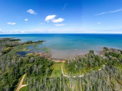 Beach Acreage For Sale in Port Hope, Michigan