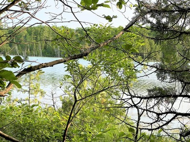 Beach Lot For Sale in Cheboygan, Michigan