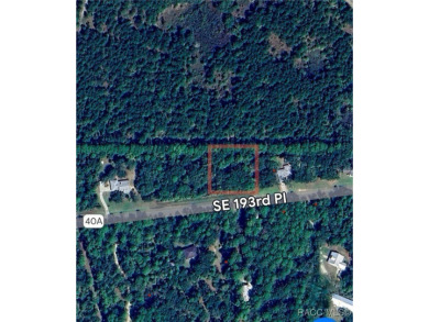 Beach Lot For Sale in Yankeetown, Florida