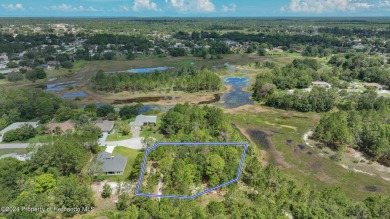 Beach Lot For Sale in Spring Hill, Florida