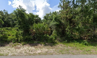 Beach Lot For Sale in North Port, Florida
