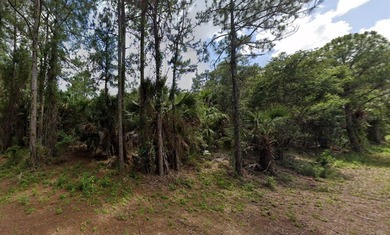 Beach Lot For Sale in North Port, Florida
