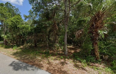 Beach Lot For Sale in North Port, Florida