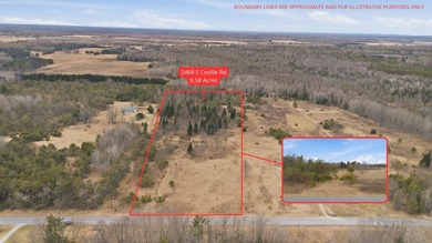 Beach Acreage For Sale in Mikado, Michigan