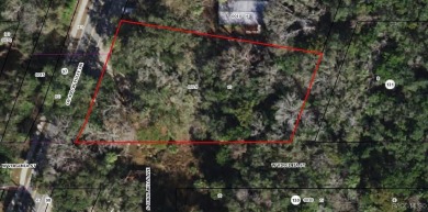 Beach Lot For Sale in Homosassa, Florida