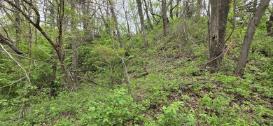 Beach Lot For Sale in Gary, Indiana