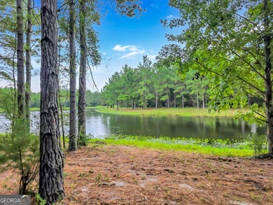 Beach Lot For Sale in Waverly, Georgia