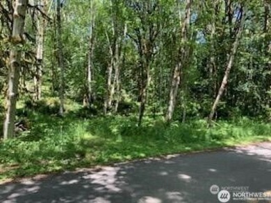 Beach Lot For Sale in Olympia, Washington