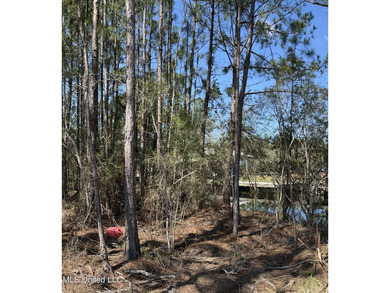 Beach Commercial For Sale in Bay Saint Louis, Mississippi