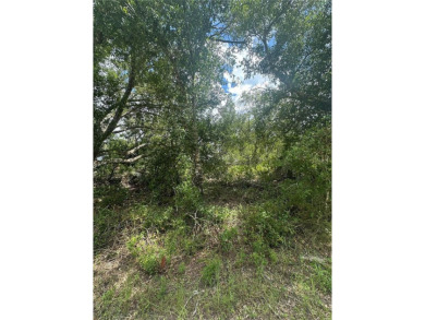 Beach Lot For Sale in North Port, Florida