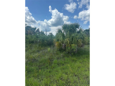Beach Lot For Sale in North Port, Florida
