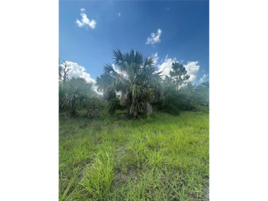 Beach Lot For Sale in North Port, Florida