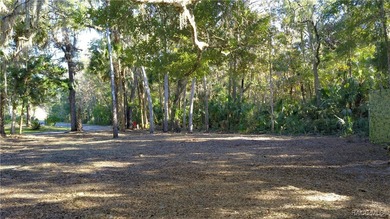 Beach Lot For Sale in Homosassa, Florida