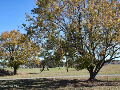 Beach Lot For Sale in Ocean Isle Beach, North Carolina