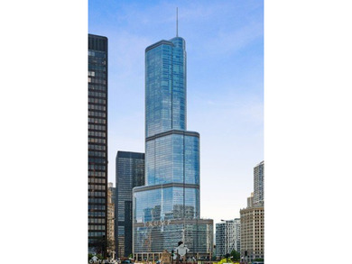 Beach Condo For Sale in Chicago, Illinois
