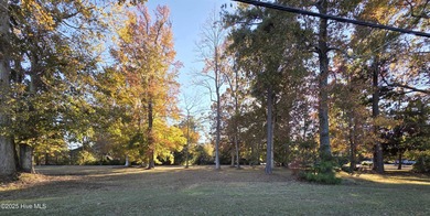 Beach Lot For Sale in Elizabeth City, North Carolina