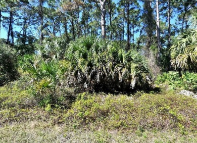 Beach Lot For Sale in North Port, Florida