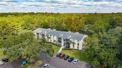 Beach Condo For Sale in Tarpon Springs, Florida